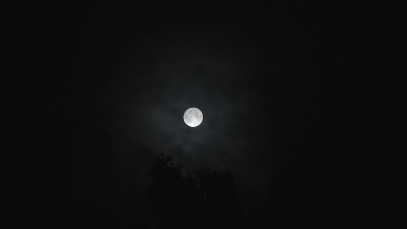 밤하늘에 떠있는 달 P5 이미지