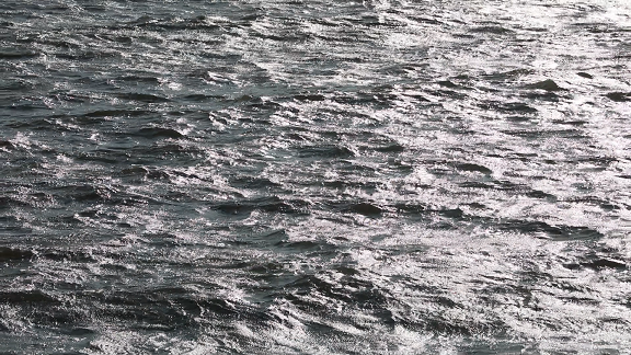 윤슬이 반짝이는 파도치는 바다 F3 이미지